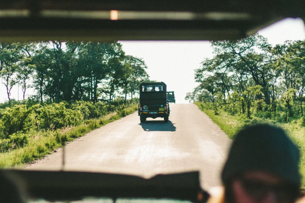 View from a vehicle on a Kruger National Park road