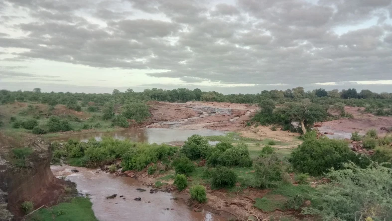 Mopane-dominated savannah beside the Shingwedzi River at Red Rocks, west of Shingwedzi Camp.